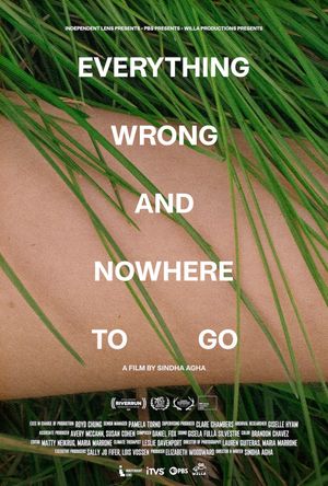 Everything Wrong and Nowhere to Go's poster