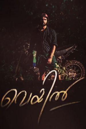Veyil's poster