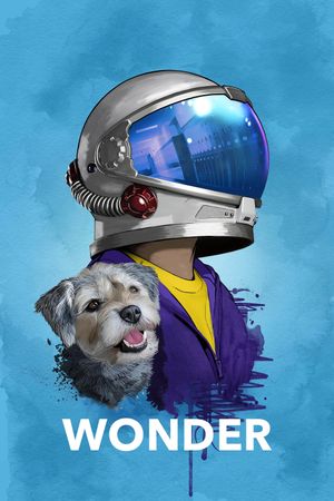 Wonder's poster