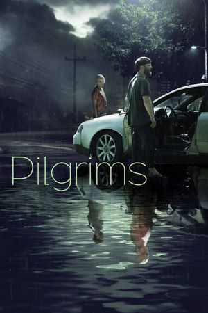 Pilgrims's poster