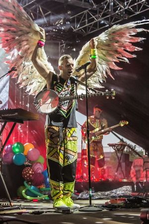 Sufjan Stevens Live - Outside Lands Music & Arts Festival's poster