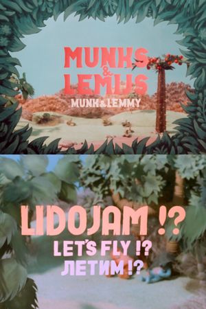 Let's Fly?'s poster image