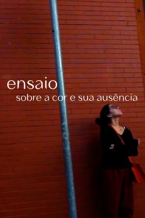 Essay on color and its absence's poster