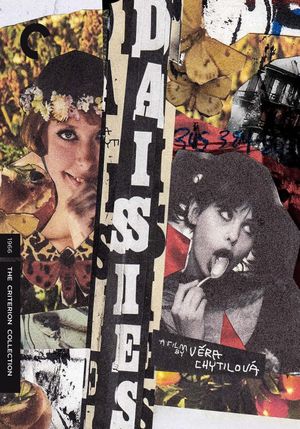 Daisies's poster