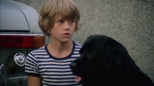 Hang on, Doggy!'s poster