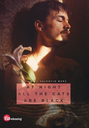 At Night All the Cats Are Black's poster