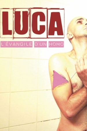 Luca, l'évangile d'un homo's poster image