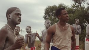 The Wound's poster