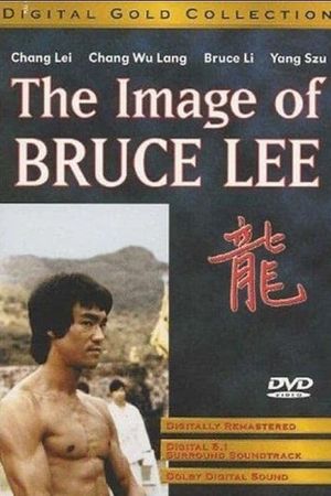 The Image of Bruce Lee's poster