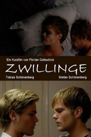 Twins's poster