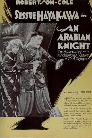 An Arabian Knight's poster image