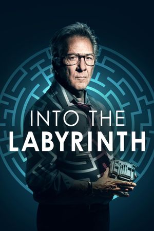 Into the Labyrinth's poster