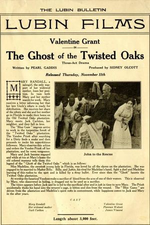 The Ghost of Twisted Oaks's poster