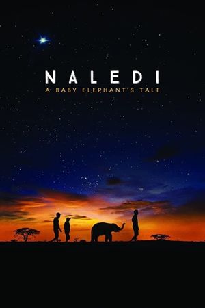 Naledi: A Baby Elephant's Tale's poster