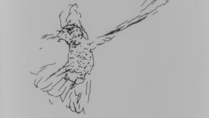 Hummingbird's poster