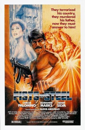 Fists of Steel's poster