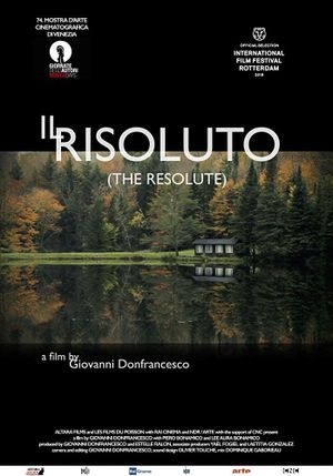 Il risoluto's poster