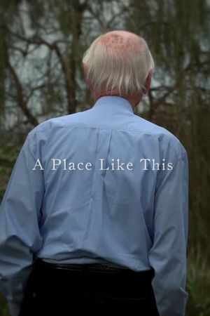 A Place Like This's poster