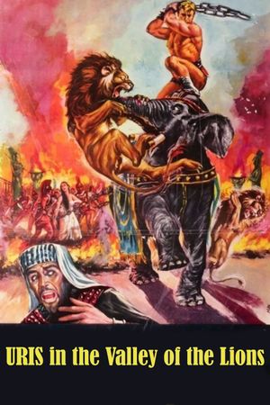 Valley of the Lions's poster