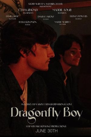 Dragonfly Boy's poster