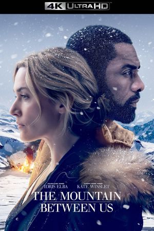 The Mountain Between Us's poster