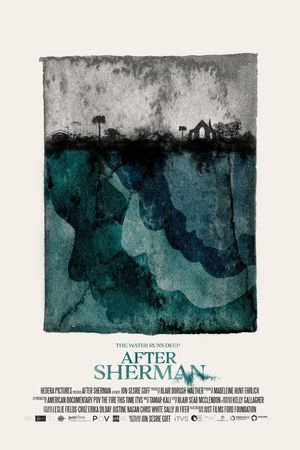 After Sherman's poster