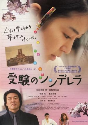 Cinderella Formula's poster