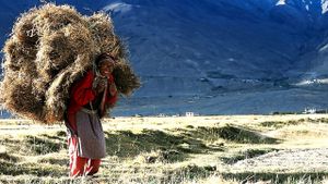 Himalaya: The Land of Women's poster