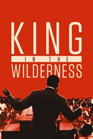 King In The Wilderness's poster