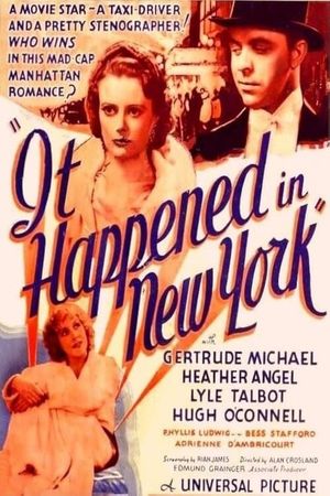 It Happened in New York's poster image