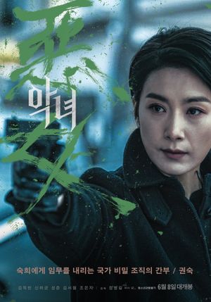 The Villainess's poster