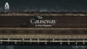 The Causeway's poster
