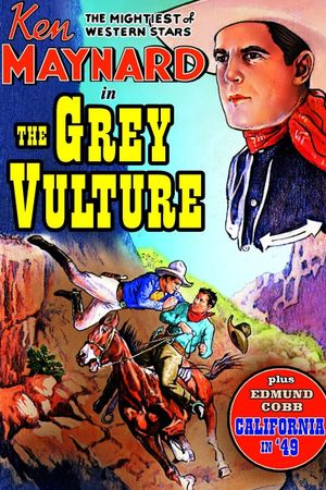 The Grey Vulture's poster image