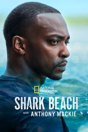 Shark Beach with Anthony Mackie's poster