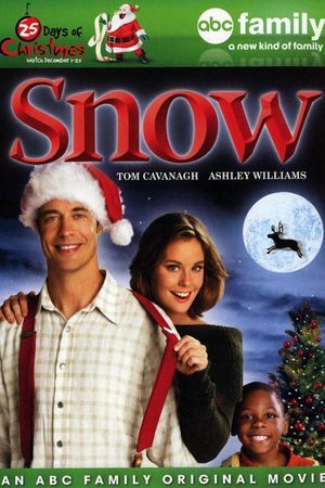 Snow's poster