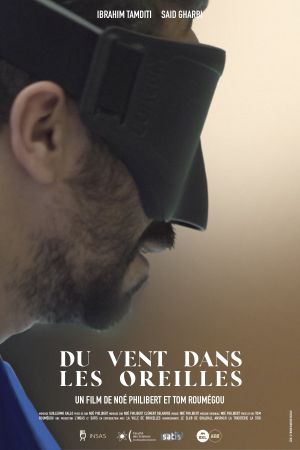 Du vent dans les oreilles's poster