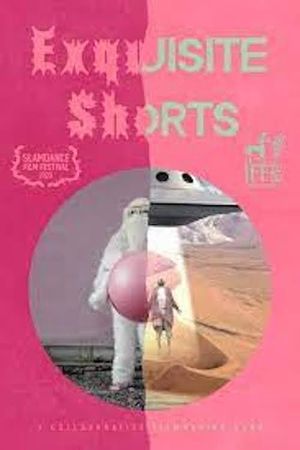 Exquisite Shorts's poster