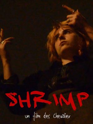 SHRIMP's poster