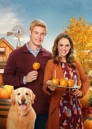 Love, Fall & Order's poster