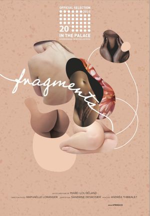 Fragments's poster