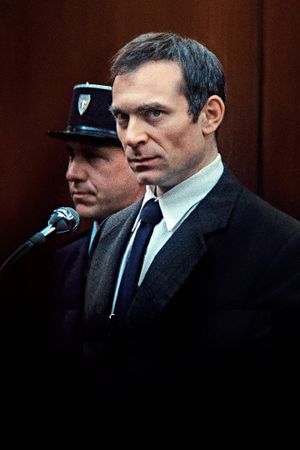 The Goldman Case's poster