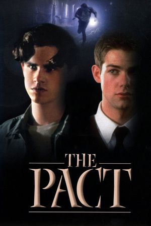 The Secret Pact's poster image