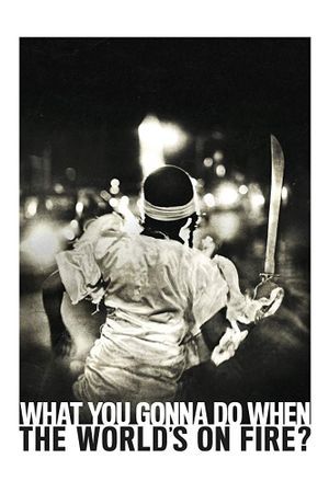 What You Gonna Do When the World's on Fire?'s poster