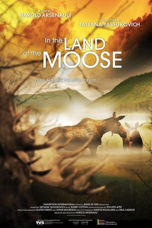 In the land of the moose's poster
