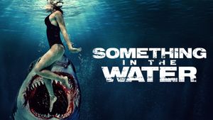 Something in the Water's poster
