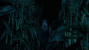 The Town That Dreaded Sundown's poster