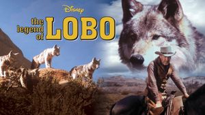 The Legend of Lobo's poster