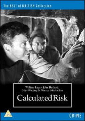 Calculated Risk's poster