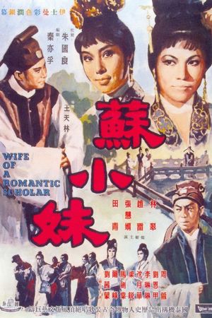 Wife of a Romantic Scholar's poster