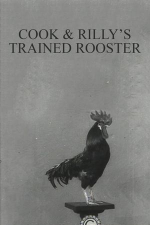 Cook & Rilly's Trained Rooster's poster